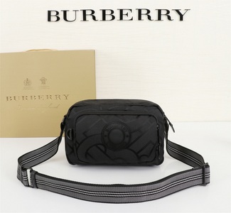 Burberry Handbags 260